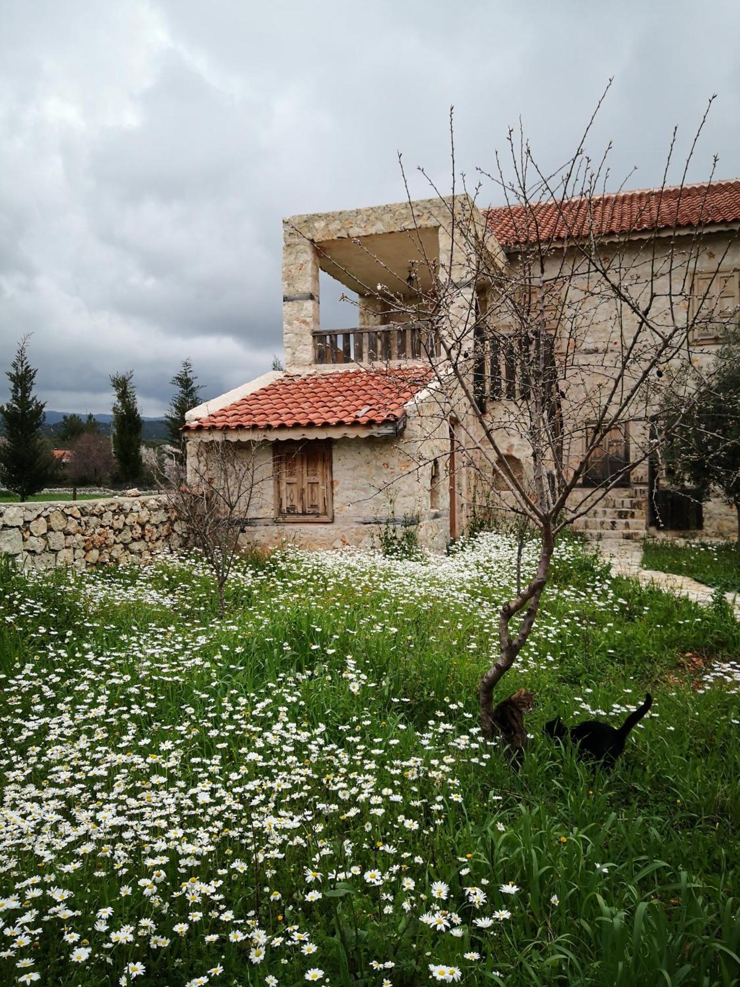 Hoyran Wedre Country Houses Davazlar Exterior foto